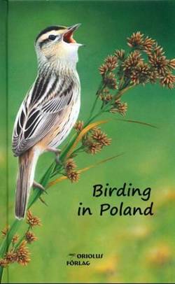 Birding in Poland.